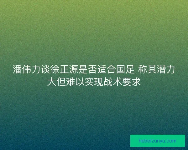 潘伟力谈徐正源是否适合国足 称其潜力大但难以实现战术要求